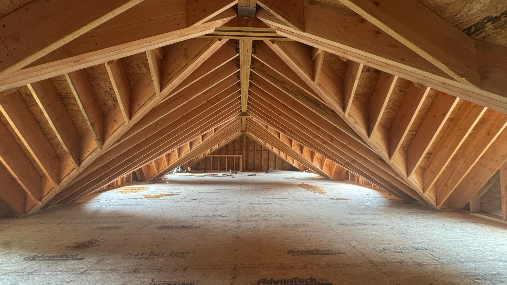 dB Development — interior framing detail